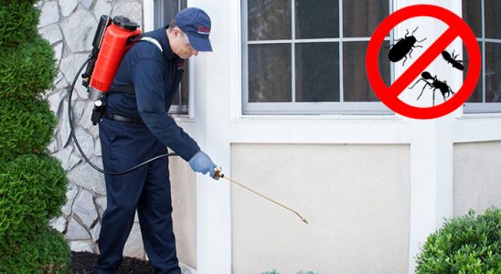 Gaziosmanpaşa Dezenfeksiyon böcek ilaçlama ve haşere kontrolü — ilaclama-tr.com
